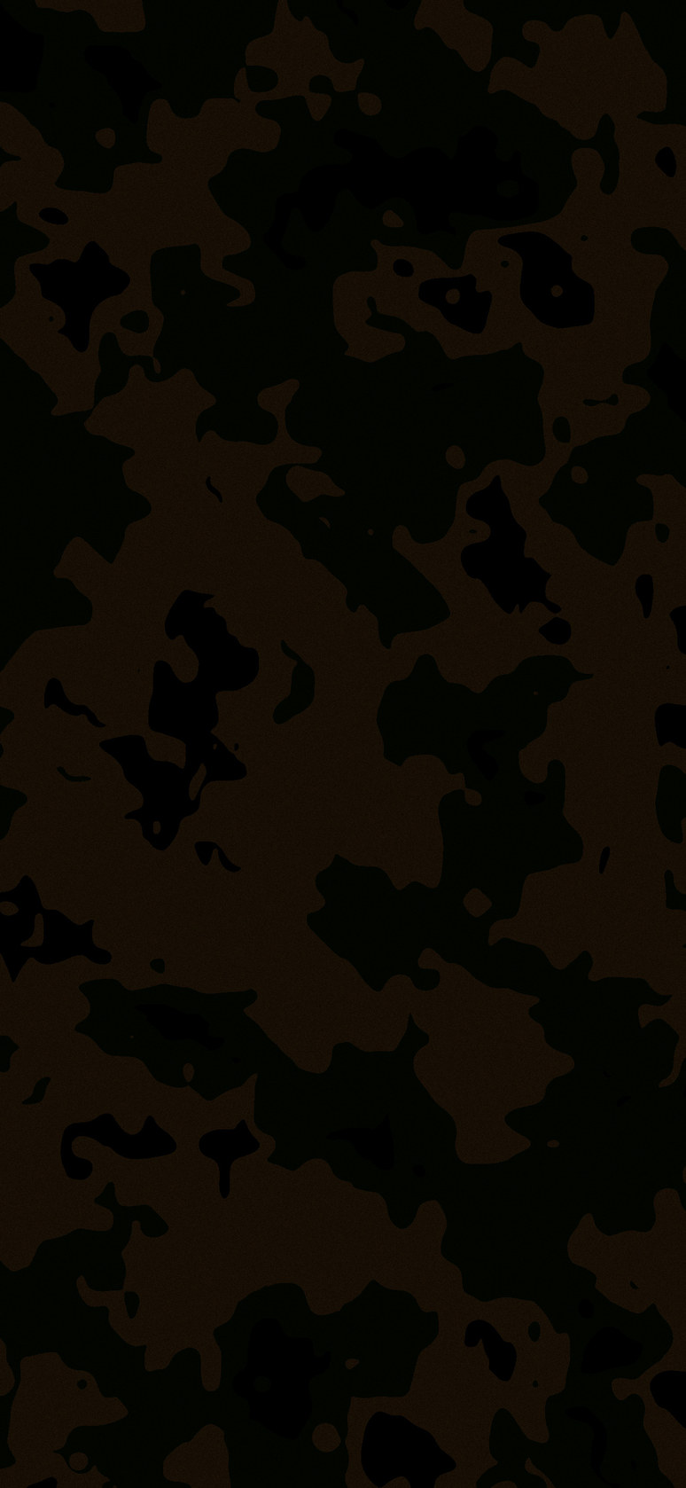 カモフラージュ / 迷彩