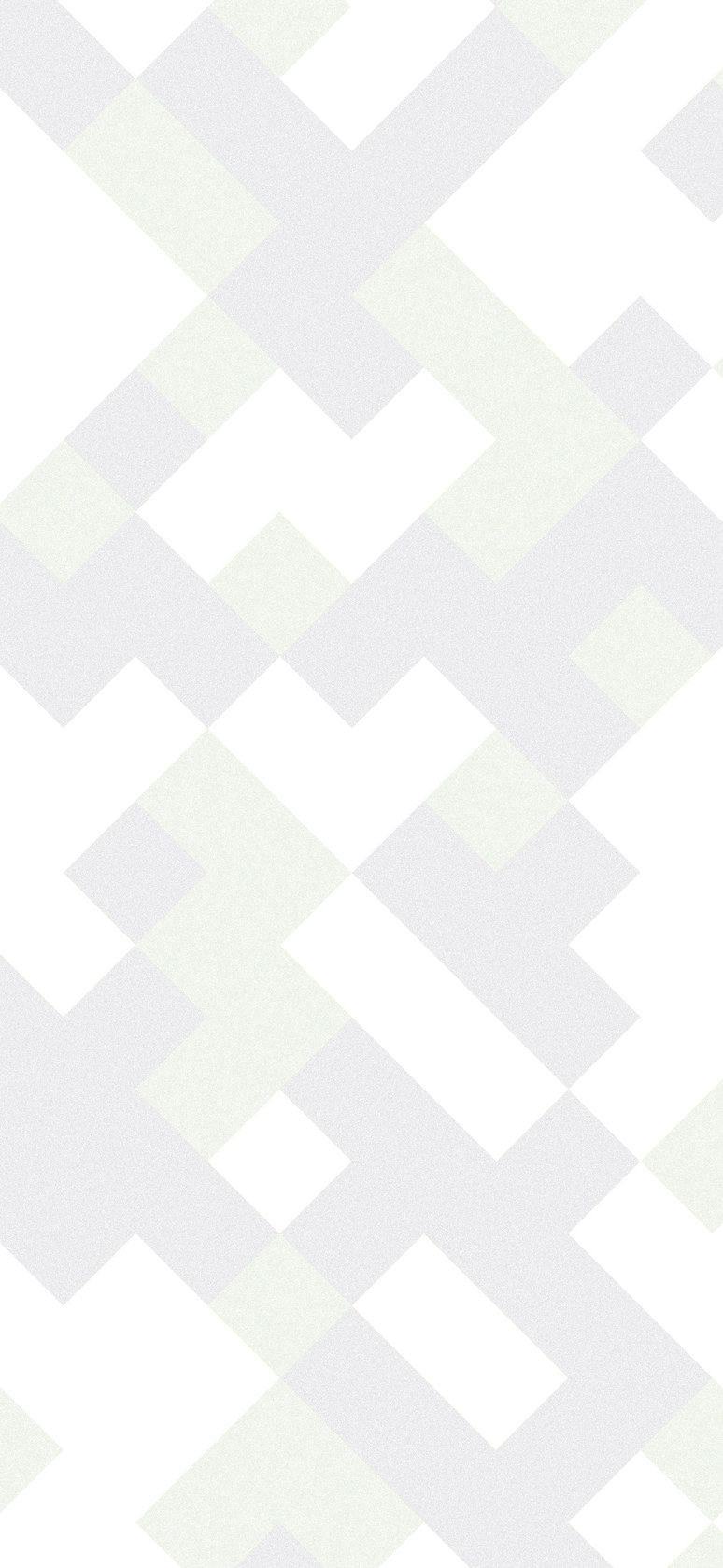 カモフラージュ画像