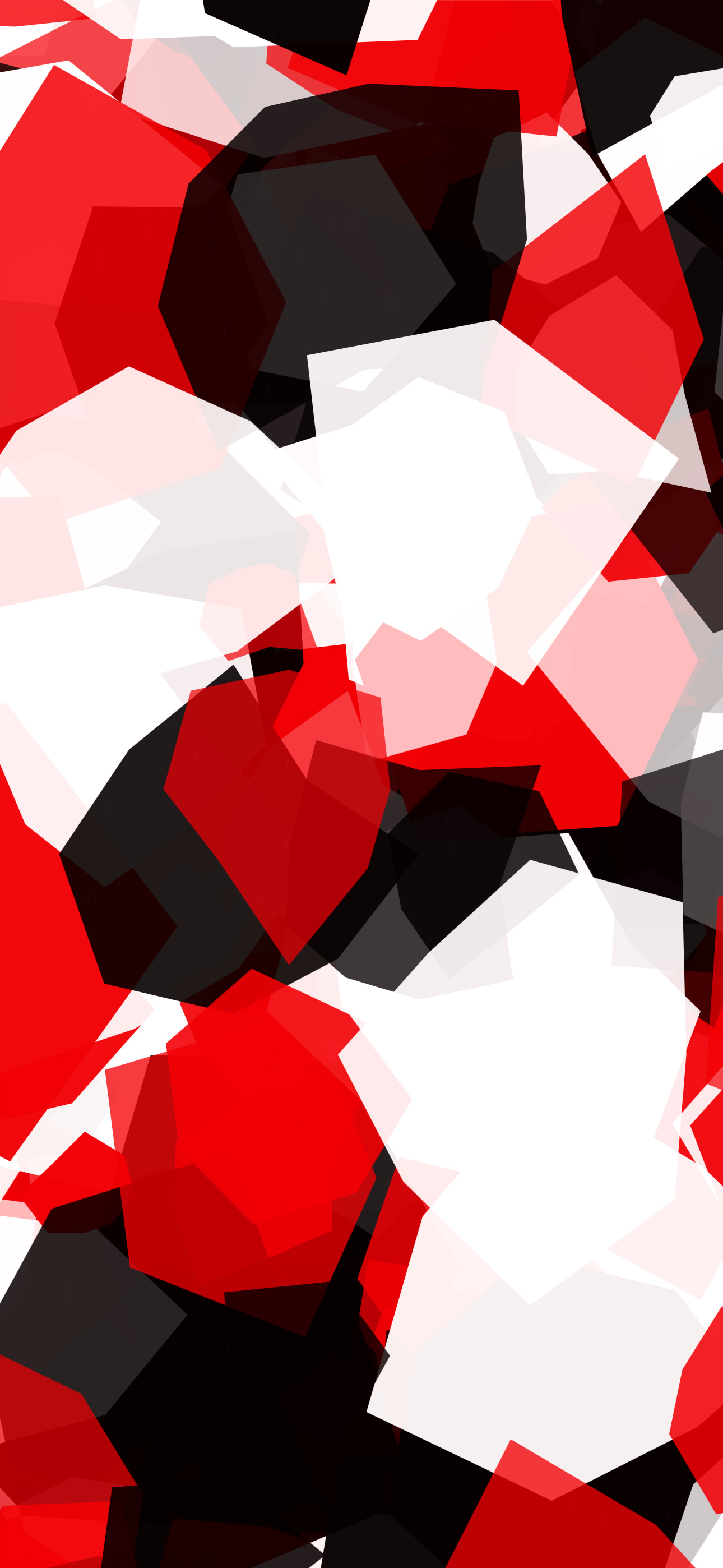 Japanese Carp / Fish Images