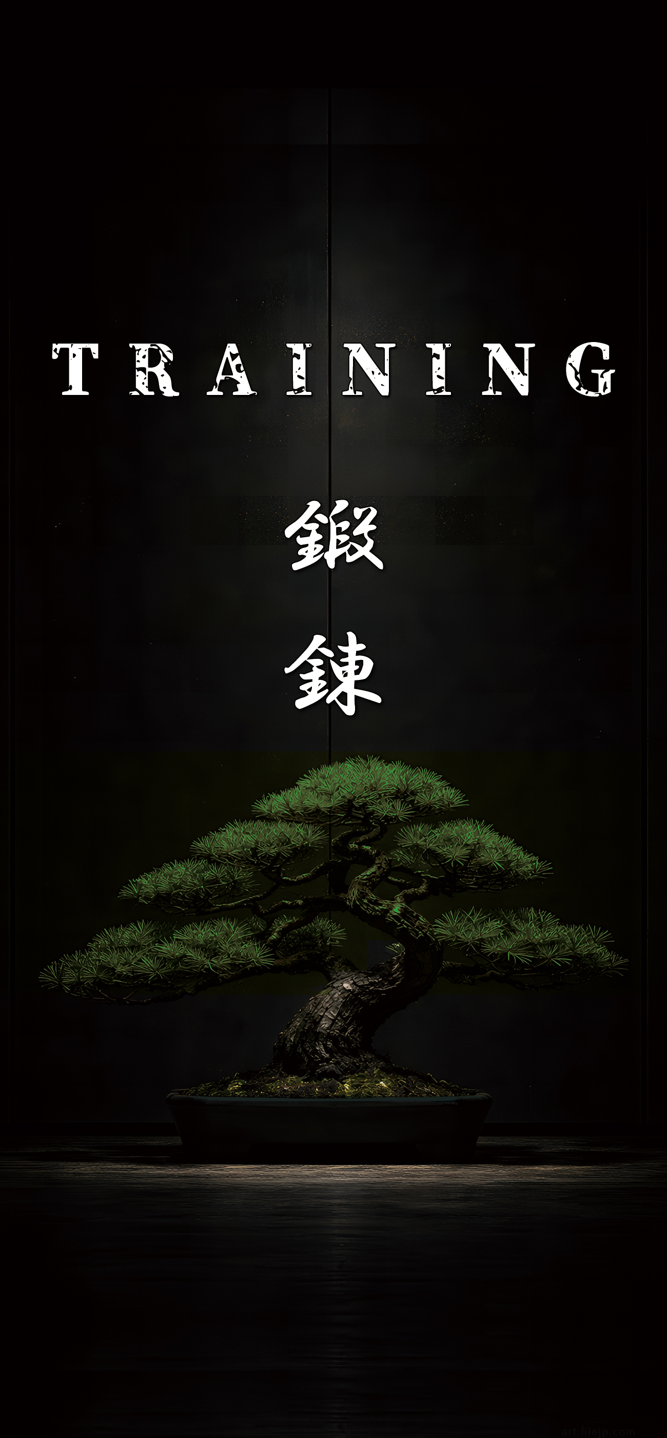 aesthetic samurai wallpaper,dark motivational wallpaper,samurai background,japanese background,aesthetic japanese wallpaper