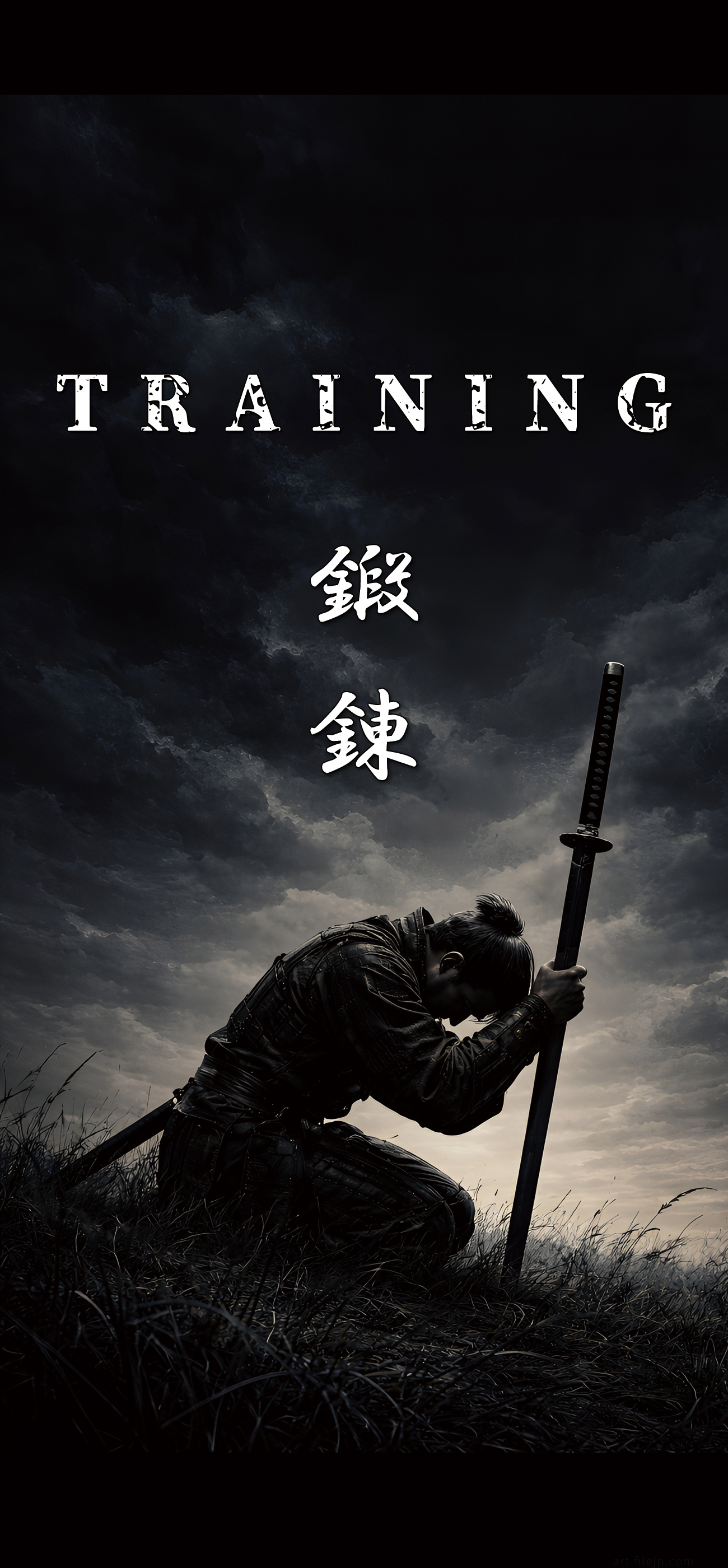 aesthetic samurai wallpaper,dark motivational wallpaper,samurai background,japanese background,aesthetic japanese wallpaper