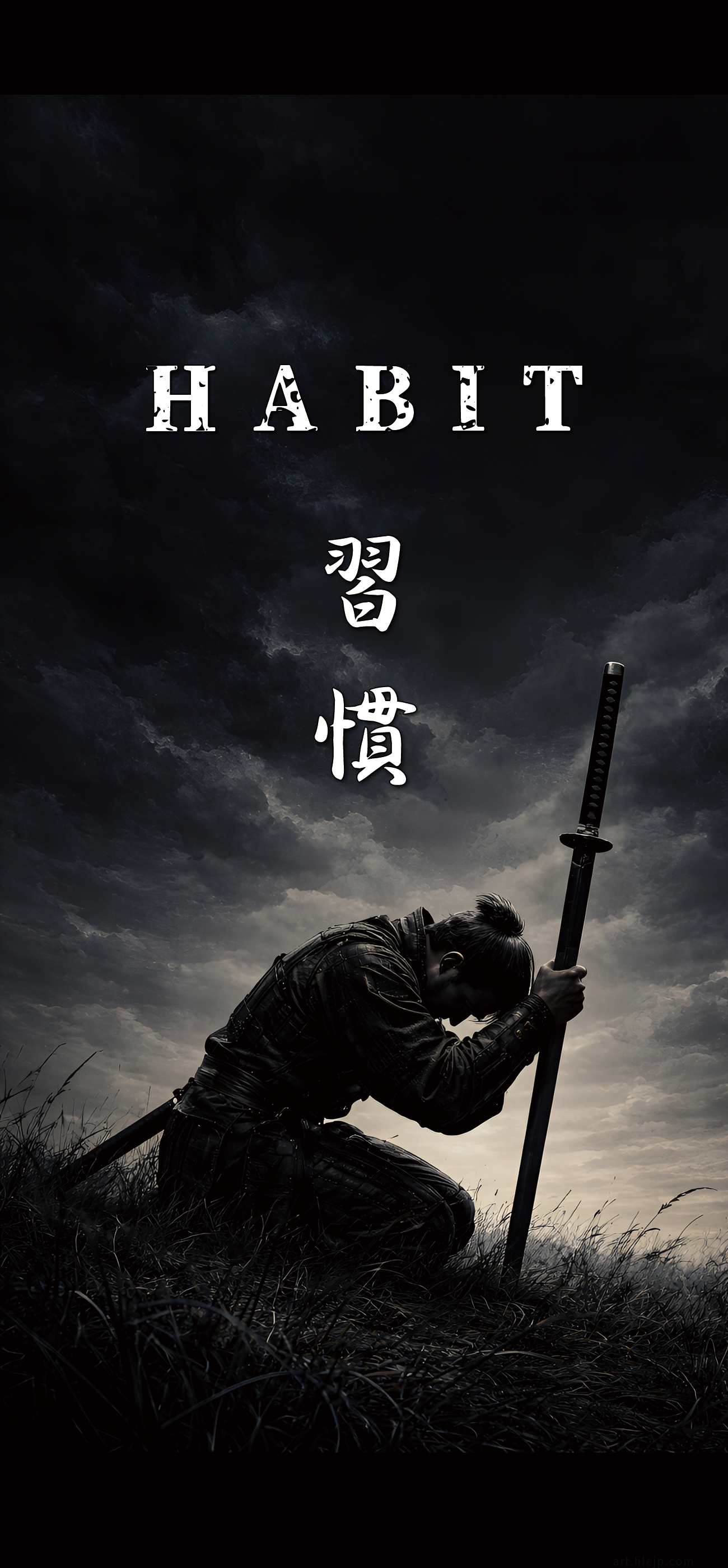 aesthetic samurai wallpaper,dark motivational wallpaper,samurai background,japanese background,aesthetic japanese wallpaper
